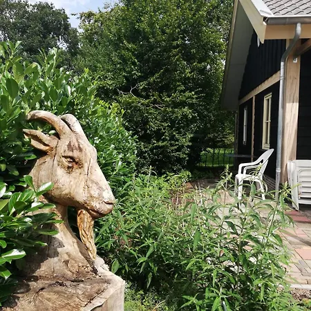 Logeren Bij De Soerensesteeg Uddel