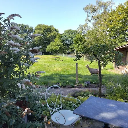 Logeren Bij De Soerensesteeg Semesterbostad Uddel