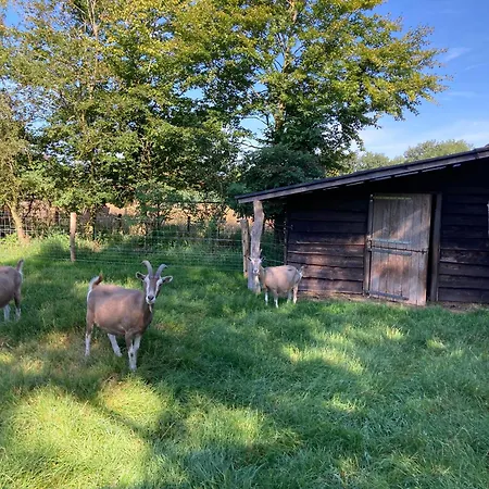 Logeren Bij De Soerensesteeg בית נופש *