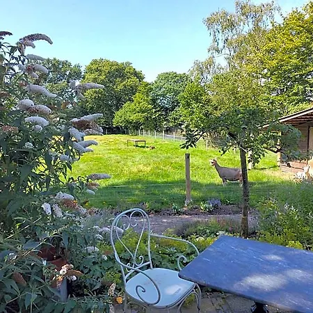Holiday home Logeren Bij De Soerensesteeg