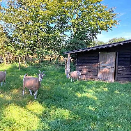 Holiday home Logeren Bij De Soerensesteeg Uddel
