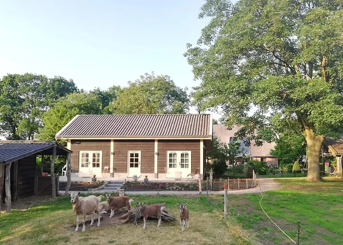 Vakantiehuis Logeren Bij De Soerensesteeg