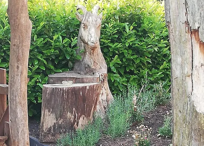 Vakantiehuis Logeren Bij De Soerensesteeg