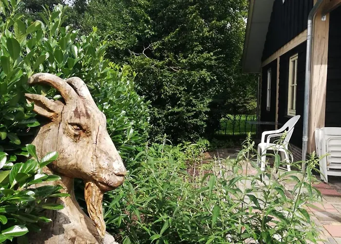 Logeren Bij De Soerensesteeg Uddel