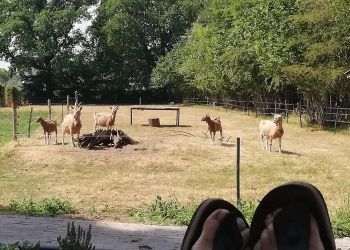 Semesterbostad Logeren Bij De Soerensesteeg Uddel