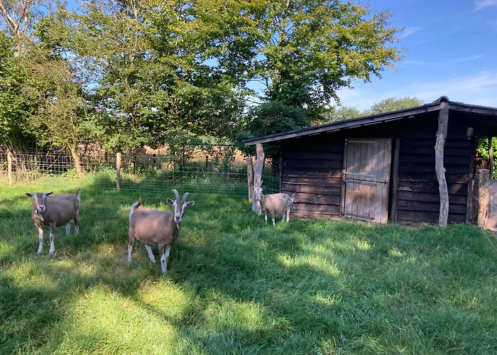 Logeren Bij De Soerensesteeg Сasa de vacaciones *